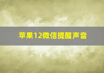 苹果12微信提醒声音