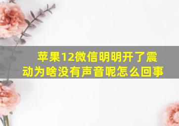 苹果12微信明明开了震动为啥没有声音呢怎么回事