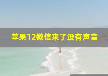 苹果12微信来了没有声音