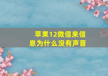 苹果12微信来信息为什么没有声音