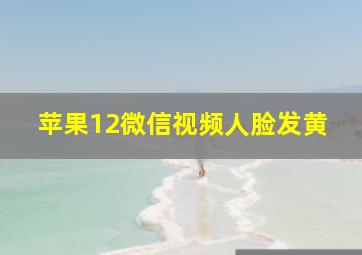 苹果12微信视频人脸发黄