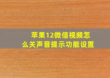 苹果12微信视频怎么关声音提示功能设置