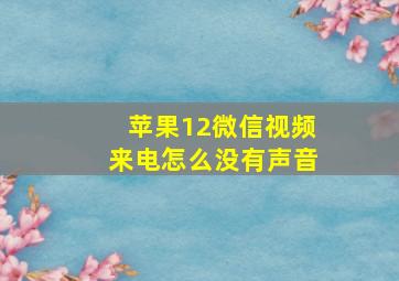 苹果12微信视频来电怎么没有声音