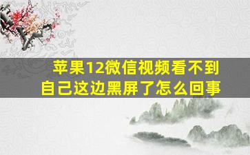 苹果12微信视频看不到自己这边黑屏了怎么回事