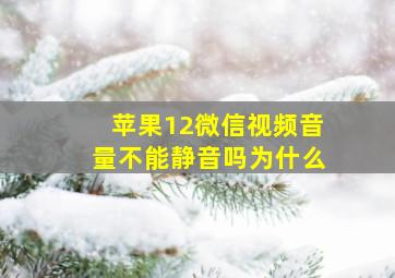 苹果12微信视频音量不能静音吗为什么