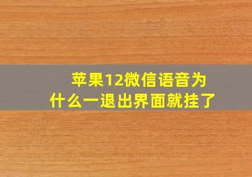 苹果12微信语音为什么一退出界面就挂了