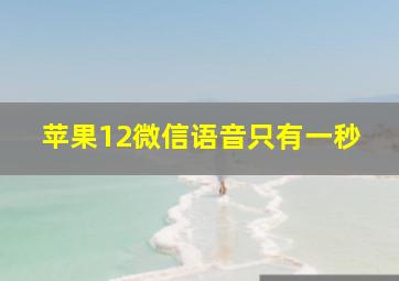 苹果12微信语音只有一秒