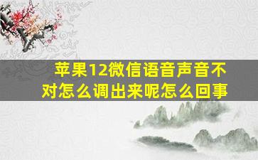 苹果12微信语音声音不对怎么调出来呢怎么回事