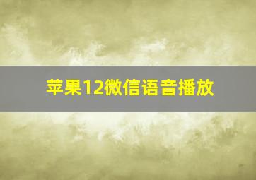 苹果12微信语音播放