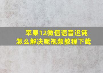 苹果12微信语音迟钝怎么解决呢视频教程下载