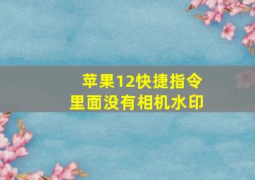 苹果12快捷指令里面没有相机水印