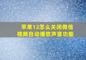 苹果12怎么关闭微信视频自动播放声音功能