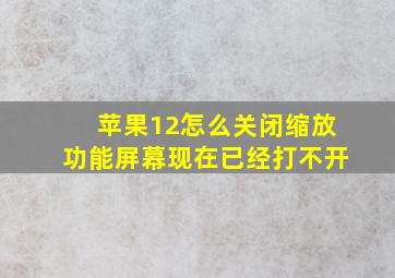 苹果12怎么关闭缩放功能屏幕现在已经打不开