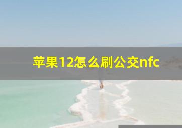 苹果12怎么刷公交nfc