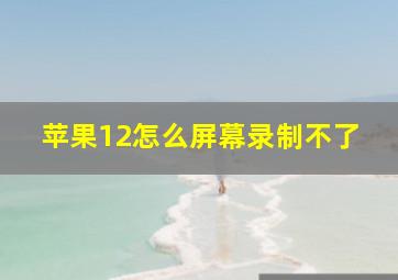 苹果12怎么屏幕录制不了