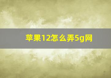 苹果12怎么弄5g网