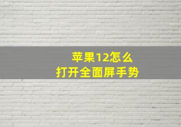 苹果12怎么打开全面屏手势