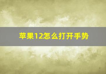 苹果12怎么打开手势