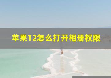 苹果12怎么打开相册权限