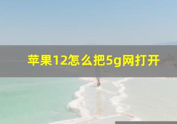 苹果12怎么把5g网打开