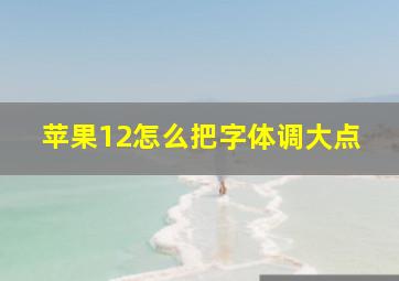 苹果12怎么把字体调大点