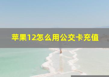 苹果12怎么用公交卡充值