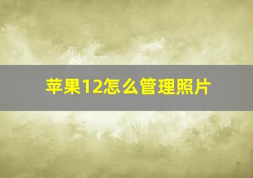 苹果12怎么管理照片