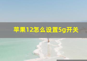 苹果12怎么设置5g开关