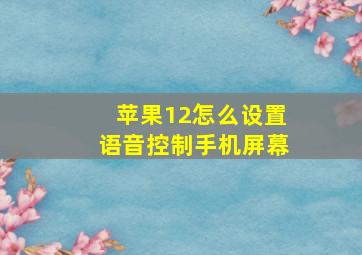 苹果12怎么设置语音控制手机屏幕