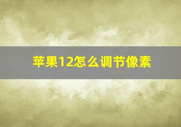 苹果12怎么调节像素