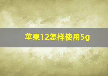 苹果12怎样使用5g