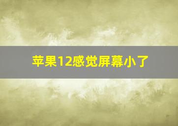 苹果12感觉屏幕小了