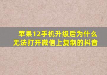 苹果12手机升级后为什么无法打开微信上复制的抖音