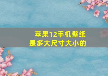 苹果12手机壁纸是多大尺寸大小的