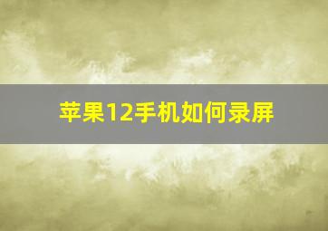 苹果12手机如何录屏