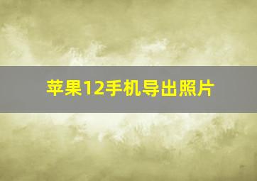 苹果12手机导出照片