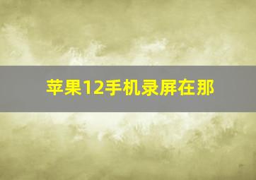 苹果12手机录屏在那