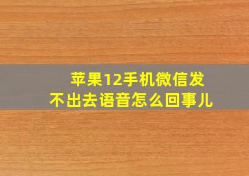 苹果12手机微信发不出去语音怎么回事儿