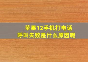 苹果12手机打电话呼叫失败是什么原因呢