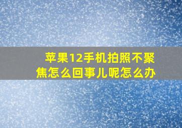 苹果12手机拍照不聚焦怎么回事儿呢怎么办