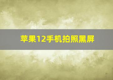 苹果12手机拍照黑屏