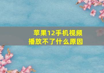 苹果12手机视频播放不了什么原因