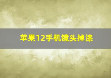 苹果12手机镜头掉漆