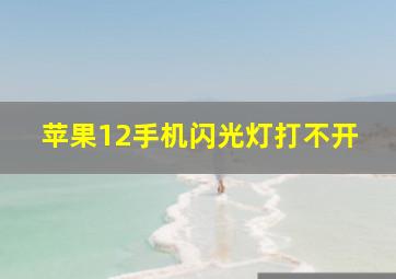 苹果12手机闪光灯打不开