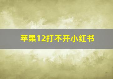 苹果12打不开小红书