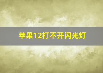 苹果12打不开闪光灯