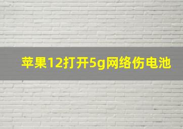 苹果12打开5g网络伤电池