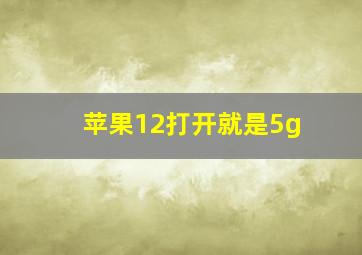 苹果12打开就是5g