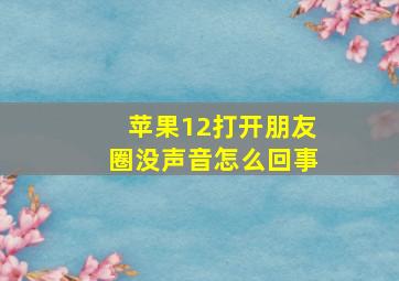 苹果12打开朋友圈没声音怎么回事