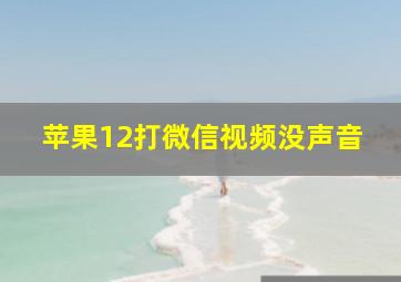 苹果12打微信视频没声音